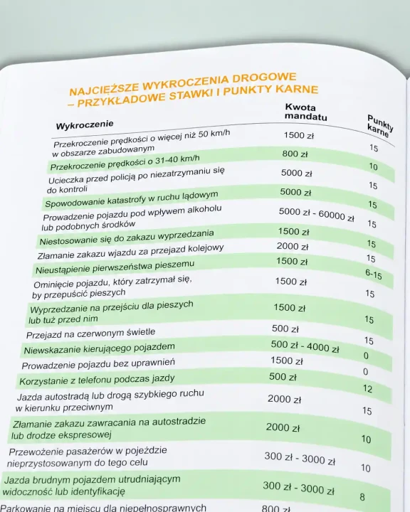 dziennik-kierowcy-zawodowego-2027-najczestsze-wykroczenia-drogowe-mandaty-punkty-karne.webp