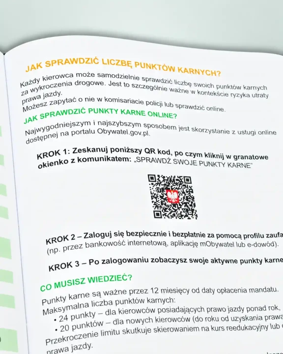 dziennik-kierowcy-zawodowego-2027-jak-sprawdzic-punkty-karne-online.webp